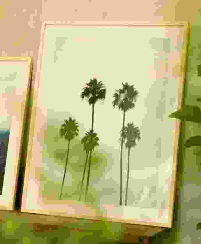 Shop Secondary Image Shop Secondary Image
